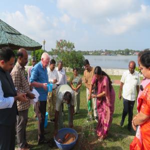 Tree Sapling as part of Swachh Bharath Campaign on Independence Day 